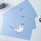 作品夏限定/コアジサシのポストカード（3枚セット）