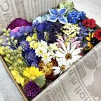 作品お買い得‼︎花材詰め合わせBOX