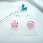 作品【選べるピアス・イヤリング】ガラスのお花 紅梅×ゴールド