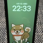 作品スマホ壁紙【柴犬】iPhone X以降のサイズ