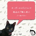 作品ご購入前にご一読ください