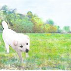 作品緑の風景とよちよちの子犬のデジタルコラージュ