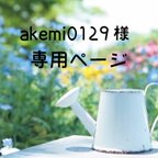 作品akemi0129様 専用ページ