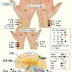 作品脈診療法　模写法により脈診ポイント図に5行の色を置いて気の波動調整をする　免疫力が高まり超健康になります