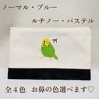 作品化粧ポーチやマスクケースなどにも使いやすいセキセイインコちゃんの手刺繍風バイカラーフラットポーチ　　ノーマル／ブルー／ルチノー／パステルレインボー