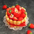 作品【ミニハット】苺のシャルロットケーキ