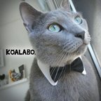 作品《３度目の販売！》★猫＆小型犬用　ネクタイつけ襟＜Gentleman＞