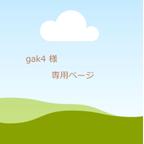 作品ｇａｋ4　様　専用ページ