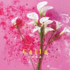 作品シングル『 Calla 』