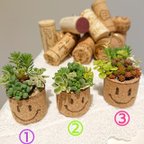 作品コルク鉢の寄せ植え.:*:・'°♪  〜ニコちゃん２つ〜