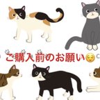 作品ご購入前にお読み下さい🐱