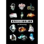 作品『鉱物共生の諸相と観察』フォトブック