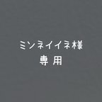 作品ミンネイイネ様専用ページ