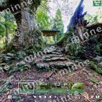 作品lang:EN/360Photo VR/Tour of Abandoned Temples in Nagahama City, Shiga Prefecture