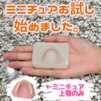 作品【お試し用】義歯チョコ (ミニチュア)入れ歯 型 シリコンモールド 食品用