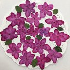 作品NO.796限定4個✨八重紫陽花ローズピンクとバラの葉／押し花素材
