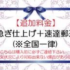 作品急ぎ仕上げ＋速達郵送【※事前にご連絡下さい】