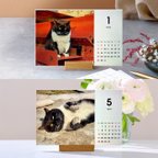 作品早期予約特典付き12月7日まで 「タキちゃんカレンダー」　2023年卓上カレンダー 木製スタンド付き  大人気のボス猫　ドラ猫　猫カレンダー　