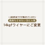 作品【ワイヤー変更】14kgfワイヤーに変更できるページ