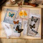 作品シール 古い地図 蝶々 30枚 2種の紙素材 英字 フレーム おしゃれ ラベル コラージュ