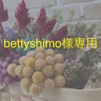 作品bettyshimo様専用ページ