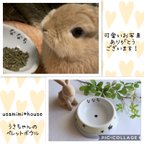 作品お客さまの素敵なお写真をご紹介♡うさぎちゃんの器