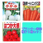 作品【送料無料】 プランター栽培、家庭菜園、収穫が早い野菜の種３種セット