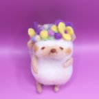 作品コロコロハリネズミ花冠ハリー🦔(ビオラ)