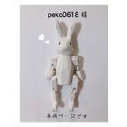 作品⭐︎peko0618様専用ページ⭐︎