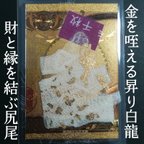 作品✨◎貴重な一本脱ぎ✨満月 富 金箔を咥える 昇り龍(白蛇)✨ 抜け殻