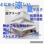 作品2枚組　とにかく軽い着け心地のマスク　ストレスフリーマスク　敏感肌の方にも　使い捨てマスクのように見える布マスク　呼吸が楽で程よいフィット感　白プリーツマスク　ノーズワイヤー入　とにかく涼しいマスク