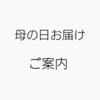 作品母の日お届けのご案内＊