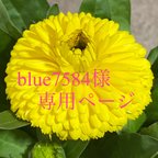 作品送料無料 「リラックス」 レッドジャスパー&薔薇彫りローズクォーツ&クラック水晶 天然石パワーストーンブレスレット 一点物