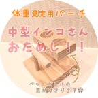 作品【送料無料】【中型インコさんモニター募集】インコ体重測定用パーチ