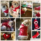 作品小型犬用クリスマスベスト