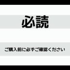 作品※ご購入前に必ずご確認ください