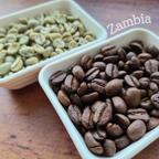 作品ザンビア NCCL農園 RA認証 自家焙煎豆 選べる内容量 100g 200g 300g 送料無料 【PIYOCOFFEE】