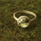 作品Prehnite ring 《葡萄石》