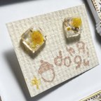 作品霞草　かすみそう　パール　ピアス　シンプル