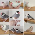 作品文鳥　オーダー受け付け【羊毛フェルト】