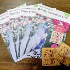 作品White cockatoo Life