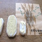 作品オオシマゼミ　消しゴムはんこ 