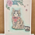 作品「薔薇、星、お座りする猫」動物ポストカードセット