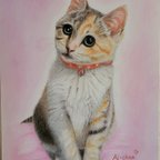 作品オーダーメイド　色鉛筆画　猫の絵　犬の絵　似顔絵　ねこ　いぬ　イラスト　肖像画　ペットロス