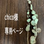 作品chico様専用ページ