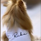 作品【送料無料】サイン字体 名入れ ドッグウェア 犬服 タンクトップ ウチの子ネーム 