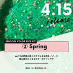 作品🌾カラーライスキット② Spring