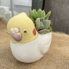 作品アニマルテラコッタ　オカメインコ　多肉寄せ植え