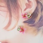 作品値下げしました。　お花のピアス🌺クレマチス