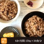 作品【定期購入 6か月】酵素玄米 150g 30食分 送料無料 無農薬 ヘルシー 国産 酵素玄米 真空パック 冷凍